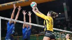 Volley A1, gli scatti di Talmassons-Banca Valsabbina Millenium Brescia