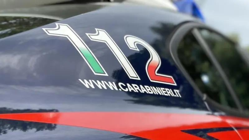 I due appartengono all'Arma dei Carabinieri - Foto Ansa © www.giornaledibrescia.it