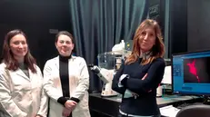 Il gruppo di lavoro della professoressa Bellucci