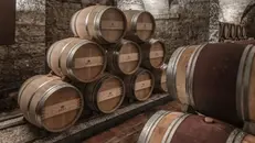 Una delle cantine di Antinori - Foto Instagram