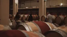 La cantina svaligiata - Foto Facebook