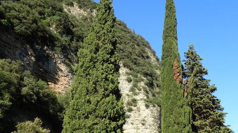 Boscaglie di leccio e cipressi isolati a Tignale
