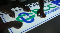 Nella nostra provincia le Bcc contano 213 sportelli in 132 Comuni