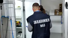 Indagini dei carabinieri in una cucina, immagine simbolica - Foto Ansa © www.giornaledibrescia.it