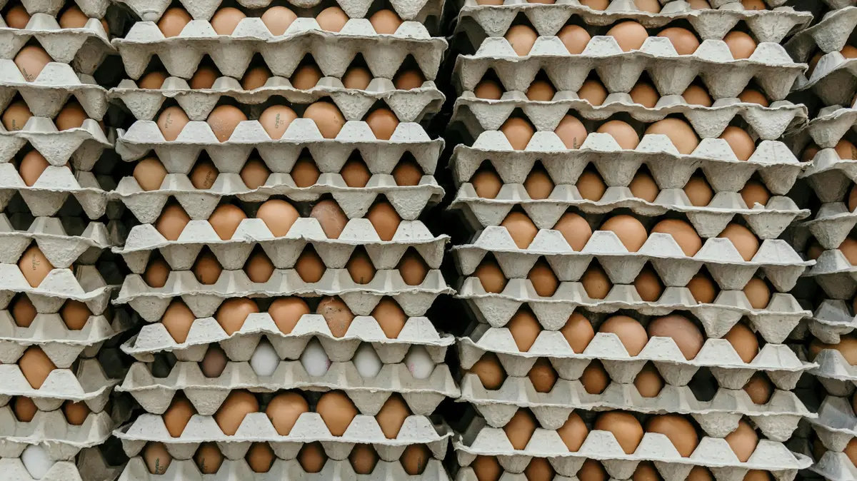 In Italia il consumo pro capite è di 230 uova all’anno