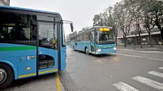 Due autobus - © www.giornaledibrescia.it