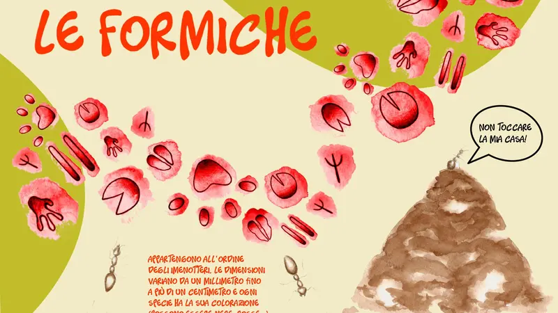 Uno dei cartelloni didattici