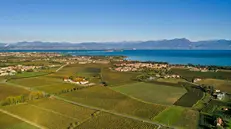 La zona del Lugana di Sirmione