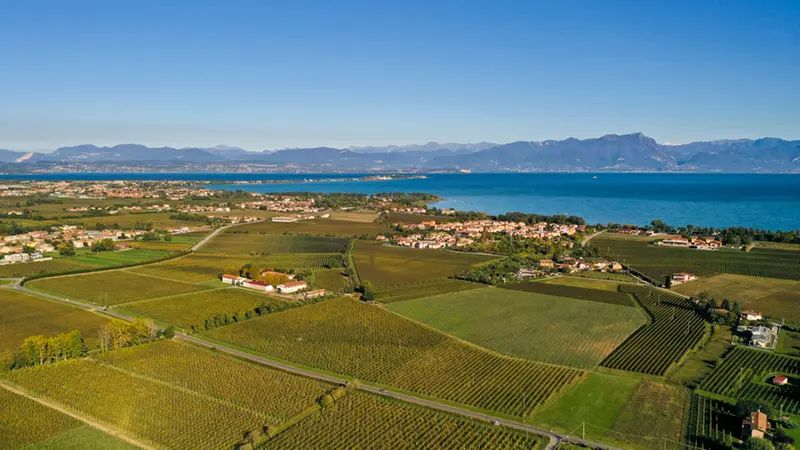 La zona del Lugana di Sirmione
