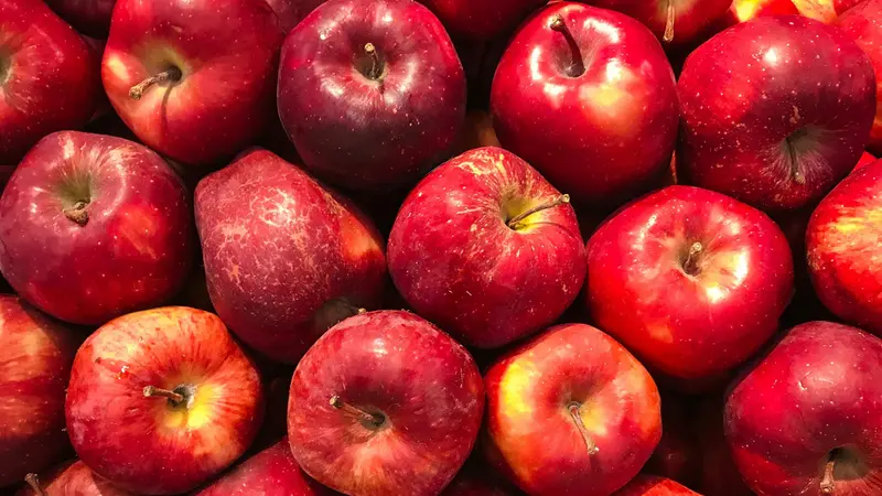 La masticazione contribuisce alla sensazione di sazietà