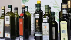 Bottiglie di olio del Garda, immagine d'archivio