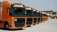La Festa Trasporti e Logistica ha sede e magazzino a Montichiari