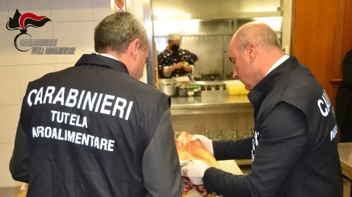 L’ispezione è stata condotta dai carabinieri di Brescia insieme ai colleghi del Nucleo tutela agroalimentare di Bergamo