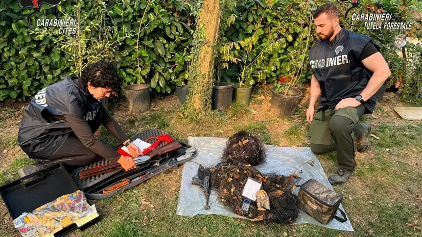 Il materiale sequestrato dai Carabinieri