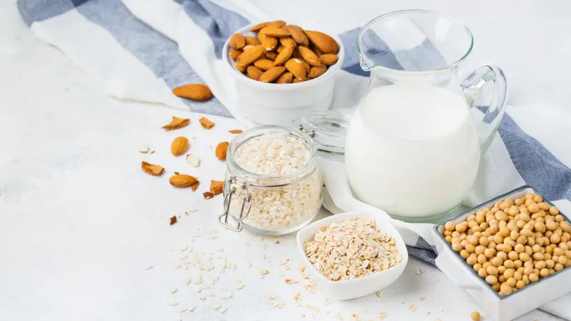 Bevande vegetali: sono davvero equivalenti al latte?
