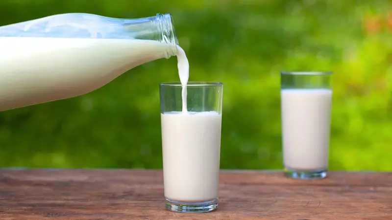 Il latte vaccino è naturalmente ricco di proteine, calcio e altri micronutrienti