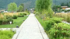 Il parco delle Erbe danzanti sul lungolago