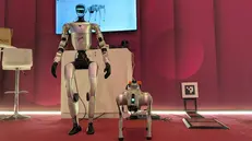 Il robot antropomorfo e il quadrupede di Gulliver