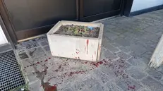 I segni dell'aggressione nel parcheggio