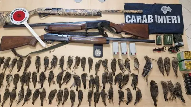 Un sequestro dei Carabinieri forestali