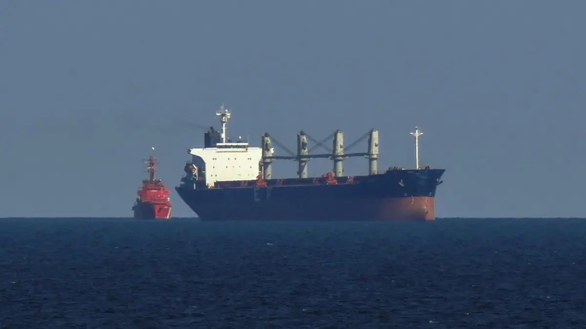 Una nave cargo in viaggio verso il porto marittimo di Odessa