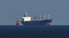 Una nave cargo in viaggio verso il porto marittimo di Odessa