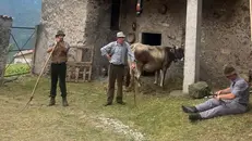 Gli Antichi Originari gestivano anche i pascoli - Foto Facebook/Gessica Cottali