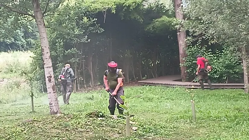 Ancora polemica sulle aiole seccate