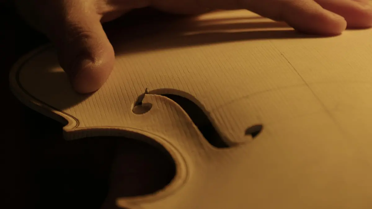 Un frame di una delle opere di Pietro Gardoni