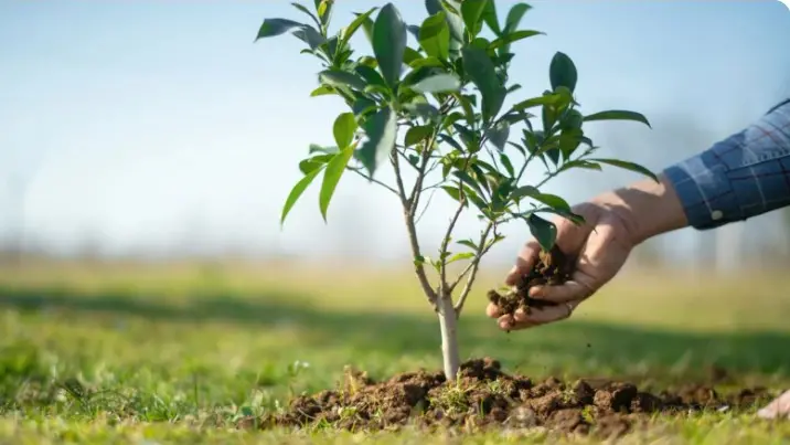AgrobrescianoVita Ets registra una costante crescita di associati