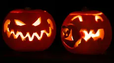 Le zucche intagliate sono un elemento tipico della tradizione di Halloween