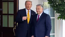 Il presidente americano Trump e l'ex premier ungherese Orban - Foto Ansa © www.giornaledibrescia.it