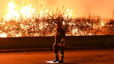 A fuoco i bancali in un'azienda a Montichiari