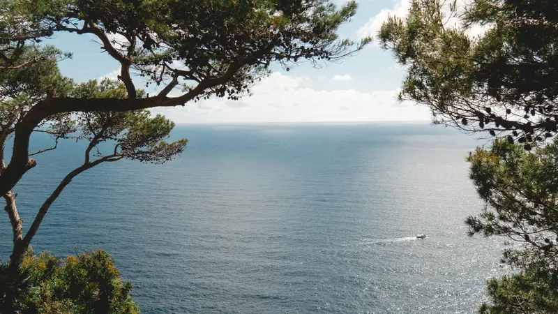 Un paesaggio mediterraneo